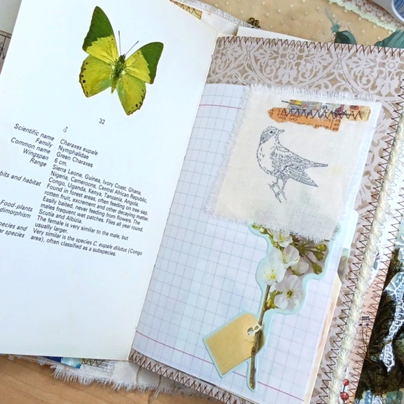 Feathered Beauty Handmade Junk Journal - Picture 5 of 13